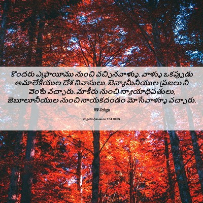 Picture 06 - న్యాయాధిపతులు 5:14 TELIRV - కొందరు ఎఫ్రాయీము - Bible Verse Picture