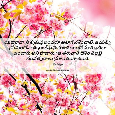 Picture 06 - న్యాయాధిపతులు 5:31 TELIRV - యెహోవా, నీ - Bible Verse Picture
