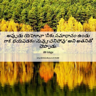 Picture 06 - న్యాయాధిపతులు 6:23 TELIRV - అప్పుడు యెహోవా - Bible Verse Picture