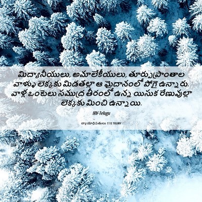 Picture 06 - న్యాయాధిపతులు 7:12 TELIRV - మిద్యానీయులు, - Bible Verse Picture