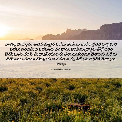 Picture 06 - న్యాయాధిపతులు 7:25 TELIRV - వాళ్ళు మిద్యాను - Bible Verse Picture
