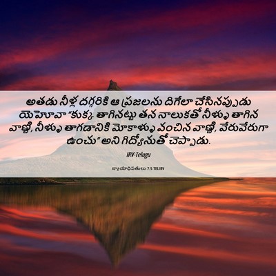 Picture 06 - న్యాయాధిపతులు 7:5 TELIRV - అతడు నీళ్ల - Bible Verse Picture
