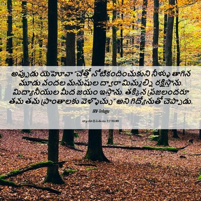 Picture 06 - న్యాయాధిపతులు 7:7 TELIRV - అప్పుడు యెహోవా - Bible Verse Picture