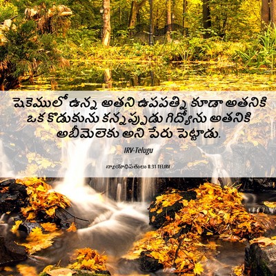 Picture 06 - న్యాయాధిపతులు 8:31 TELIRV - షెకెములో ఉన్న - Bible Verse Picture