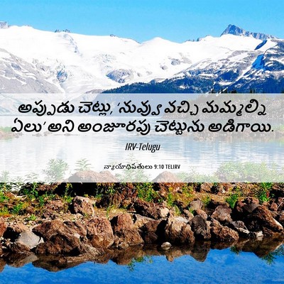Picture 06 - న్యాయాధిపతులు 9:10 TELIRV - అప్పుడు చెట్లు, - Bible Verse Picture