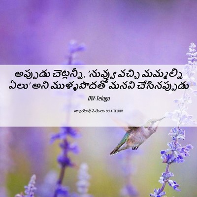 Picture 06 - న్యాయాధిపతులు 9:14 TELIRV - అప్పుడు - Bible Verse Picture