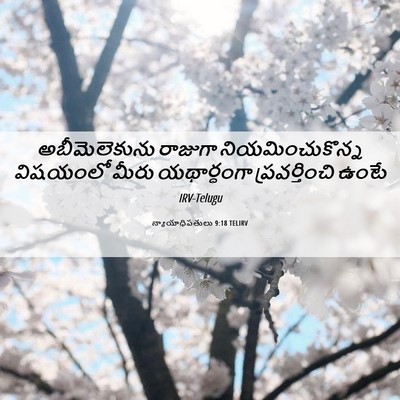 Picture 06 - న్యాయాధిపతులు 9:18 TELIRV - అబీమెలెకును - Bible Verse Picture