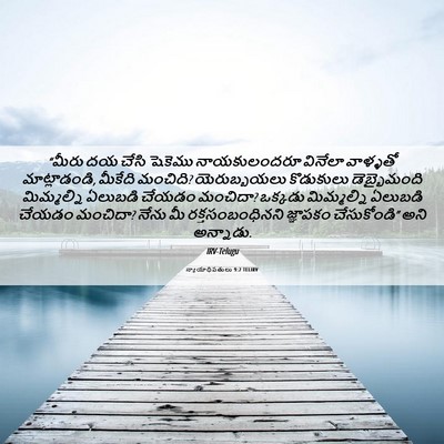 Picture 06 - న్యాయాధిపతులు 9:2 TELIRV - “మీరు దయ చేసి - Bible Verse Picture
