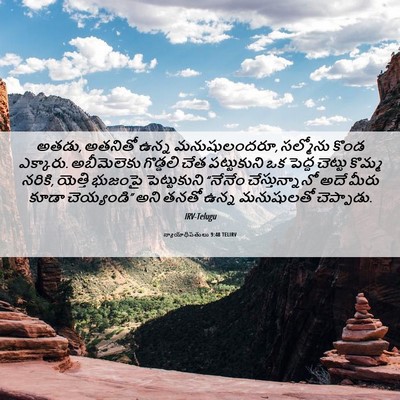 Picture 06 - న్యాయాధిపతులు 9:48 TELIRV - అతడు, అతనితో ఉన్న - Bible Verse Picture