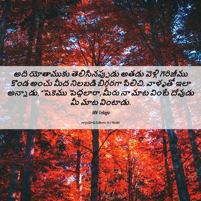 Picture 06 - న్యాయాధిపతులు 9:7 TELIRV - అది యోతాముకు - Bible Verse Picture