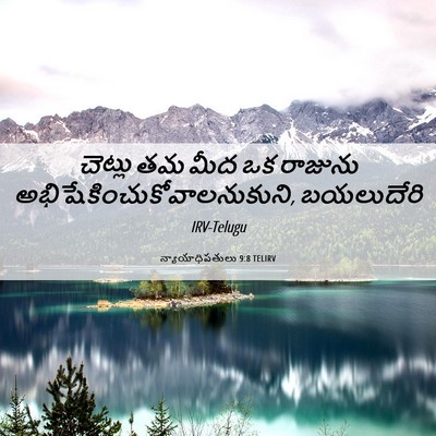 Picture 06 - న్యాయాధిపతులు 9:8 TELIRV - చెట్లు తమ మీద ఒక - Bible Verse Picture