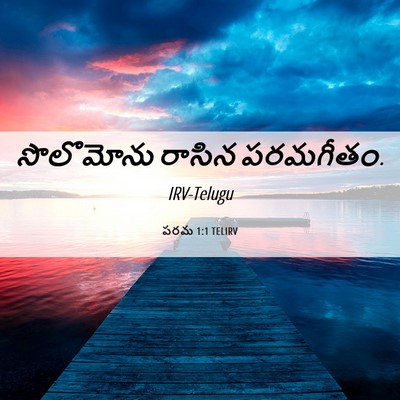 Picture 06 - పరమ 1:1 TELIRV - సొలొమోను రాసిన - Bible Verse Picture