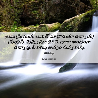 Picture 06 - పరమ 1:15 TELIRV - (ఆమె ప్రియుడు - Bible Verse Picture