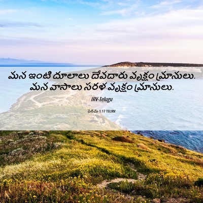 Picture 06 - పరమ 1:17 TELIRV - మన ఇంటి దూలాలు - Bible Verse Picture