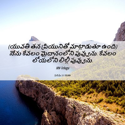 Picture 06 - పరమ 2:1 TELIRV - (యువతి తన - Bible Verse Picture