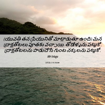 Picture 06 - పరమ 2:15 TELIRV - (యువతి తన - Bible Verse Picture