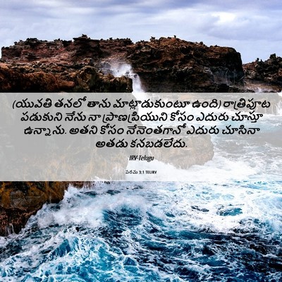 Picture 06 - పరమ 3:1 TELIRV - (యువతి తనలో తాను - Bible Verse Picture