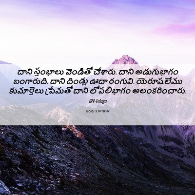 Picture 06 - పరమ 3:10 TELIRV - దాని స్తంభాలు - Bible Verse Picture
