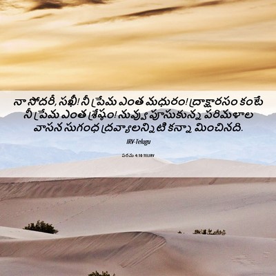 Picture 06 - పరమ 4:10 TELIRV - నా సోదరీ, సఖీ! నీ - Bible Verse Picture