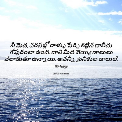 Picture 06 - పరమ 4:4 TELIRV - నీ మెడ, వరసల్లో - Bible Verse Picture