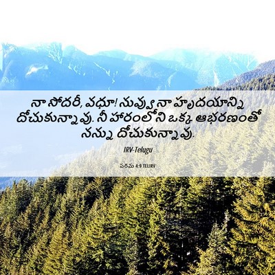 Picture 06 - పరమ 4:9 TELIRV - నా సోదరీ, వధూ! - Bible Verse Picture