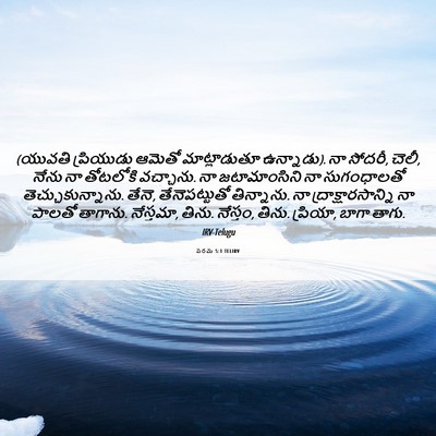 Picture 06 - పరమ 5:1 TELIRV - (యువతి ప్రియుడు - Bible Verse Picture