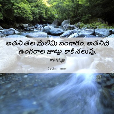 Picture 06 - పరమ 5:11 TELIRV - అతని తల మేలిమి - Bible Verse Picture