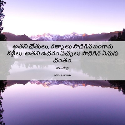 Picture 06 - పరమ 5:14 TELIRV - అతని చేతులు, - Bible Verse Picture