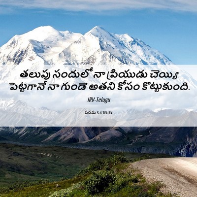 Picture 06 - పరమ 5:4 TELIRV - తలుపు సందులో నా - Bible Verse Picture