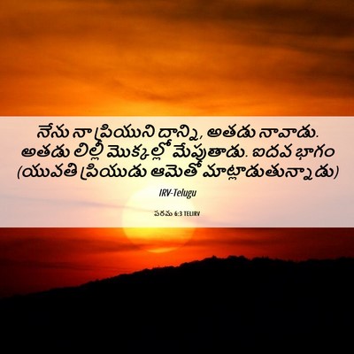 Picture 06 - పరమ 6:3 TELIRV - నేను నా ప్రియుని - Bible Verse Picture