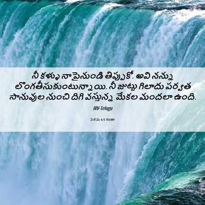 Picture 06 - పరమ 6:5 TELIRV - నీ కళ్ళు - Bible Verse Picture