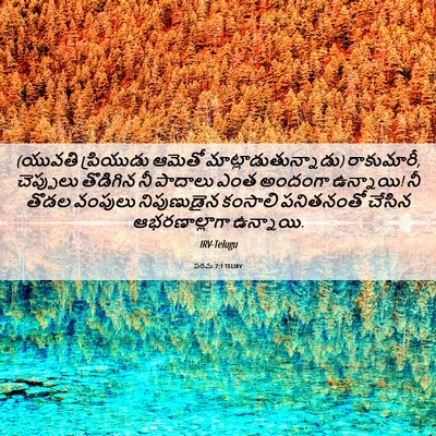 Picture 06 - పరమ 7:1 TELIRV - (యువతి ప్రియుడు - Bible Verse Picture