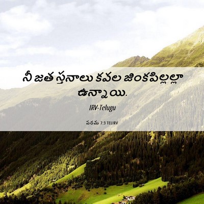 Picture 06 - పరమ 7:3 TELIRV - నీ జత స్తనాలు కవల - Bible Verse Picture