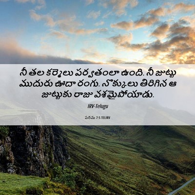 Picture 06 - పరమ 7:5 TELIRV - నీ తల కర్మెలు - Bible Verse Picture