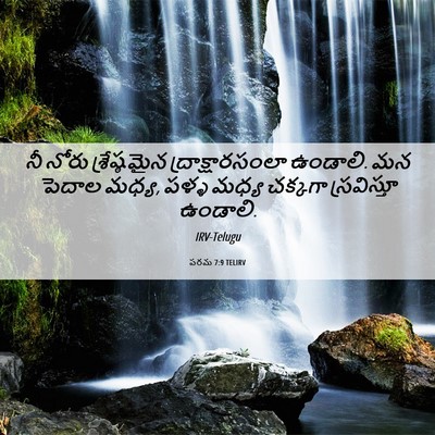 Picture 06 - పరమ 7:9 TELIRV - నీ నోరు - Bible Verse Picture