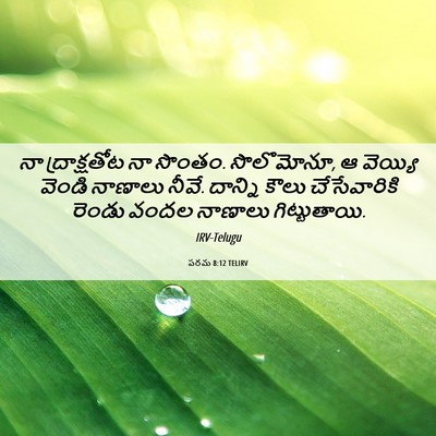 Picture 06 - పరమ 8:12 TELIRV - నా ద్రాక్షతోట నా - Bible Verse Picture