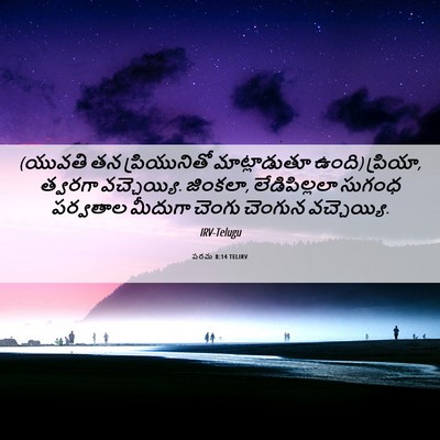 Picture 06 - పరమ 8:14 TELIRV - (యువతి తన - Bible Verse Picture