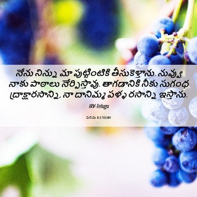 Picture 06 - పరమ 8:2 TELIRV - నేను నిన్ను మా - Bible Verse Picture