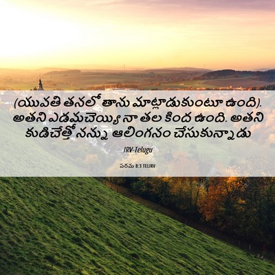 Picture 06 - పరమ 8:3 TELIRV - (యువతి తనలో తాను - Bible Verse Picture