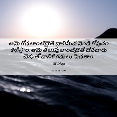 Picture 06 - పరమ 8:9 TELIRV - ఆమె గోడలాంటిదైతే - Bible Verse Picture