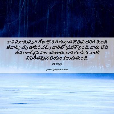 Picture 06 - ప్రకటన గ్రంథం 11:11 TELIRV - కాని మూడున్నర - Bible Verse Picture