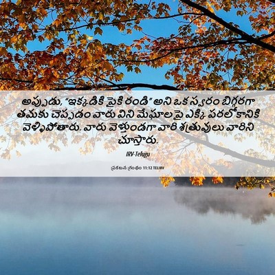 Picture 06 - ప్రకటన గ్రంథం 11:12 TELIRV - అప్పుడు, - Bible Verse Picture
