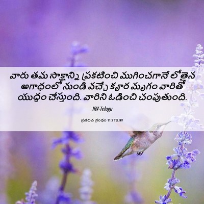Picture 06 - ప్రకటన గ్రంథం 11:7 TELIRV - వారు తమ - Bible Verse Picture