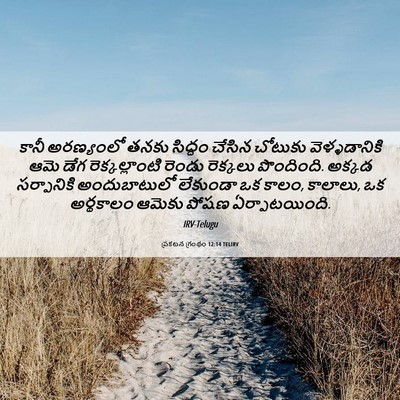 Picture 06 - ప్రకటన గ్రంథం 12:14 TELIRV - కానీ అరణ్యంలో - Bible Verse Picture