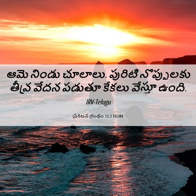 Picture 06 - ప్రకటన గ్రంథం 12:2 TELIRV - ఆమె నిండు చూలాలు. - Bible Verse Picture
