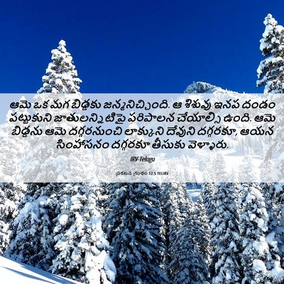 Picture 06 - ప్రకటన గ్రంథం 12:5 TELIRV - ఆమె ఒక మగ బిడ్డకు - Bible Verse Picture