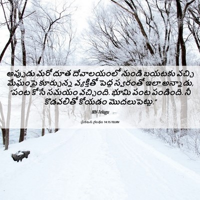 Picture 06 - ప్రకటన గ్రంథం 14:15 TELIRV - అప్పుడు మరో దూత - Bible Verse Picture