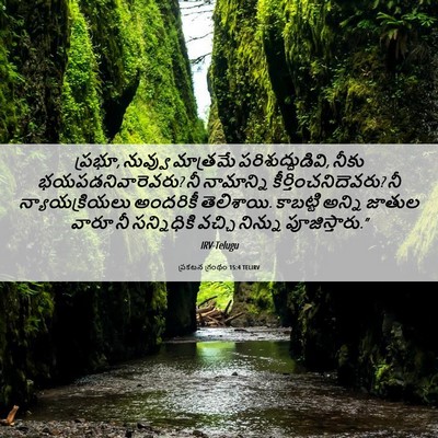 Picture 06 - ప్రకటన గ్రంథం 15:4 TELIRV - ప్రభూ, నువ్వు - Bible Verse Picture