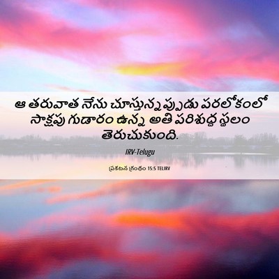 Picture 06 - ప్రకటన గ్రంథం 15:5 TELIRV - ఆ తరువాత నేను - Bible Verse Picture