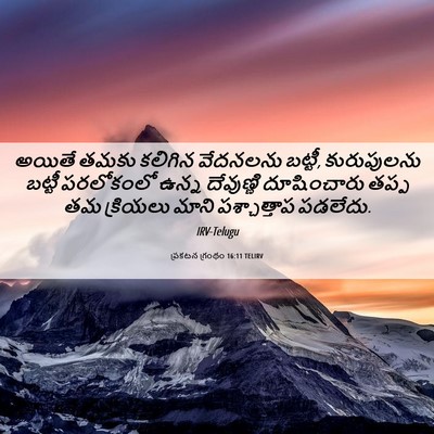 Picture 06 - ప్రకటన గ్రంథం 16:11 TELIRV - అయితే తమకు కలిగిన - Bible Verse Picture